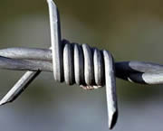 Barbed Wire